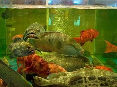 -聚福宝合苑食府(南头镇店)