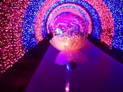-大塘金香草谷