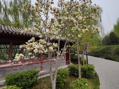 -北坞公园