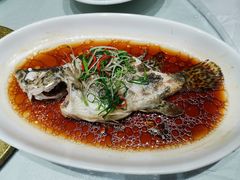清蒸桂鱼-老人和饭店(淮海中路店)