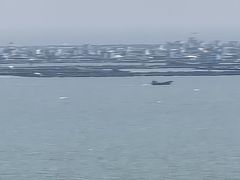 -北港方记海鲜楼·海景餐厅