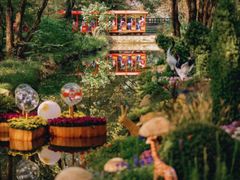 -上海共青森林公园