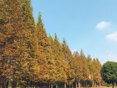 -梁鸿国家湿地公园