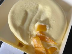 -糕小爱·动物奶油生日蛋糕定制(江阴店)