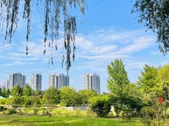 -太阳宫公园