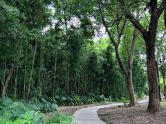 -福建鲤鱼洲酒店