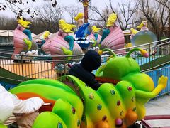-朝阳公园游乐园