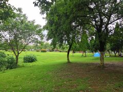 -艾溪湖湿地公园