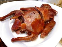 烧鸽子-小平岛開海水饺(浑南店)