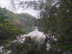 -东莞市大岭山森林公园