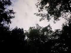 -迎泽公园