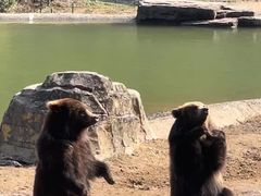 -杭州野生动物世界