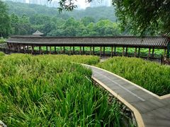 -龙头寺公园
