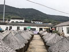 -苏州市吴中区光福窑上花果蜜饯厂