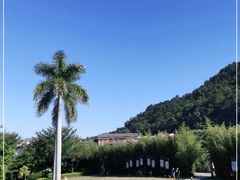 -神光山国家森林公园