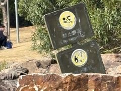 -南翔镇银翔湖公园