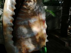 -亚龙湾海底世界