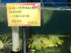 -蚝专家(北滘店)