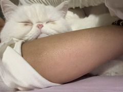-美美宠物诊疗中心·异宠·骨科(滨江东信分院)