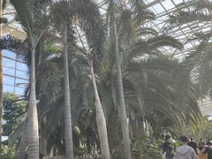 -祥源·阜阳生态乐园