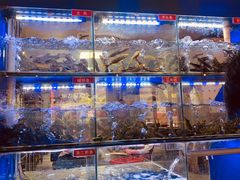 -石锅苗苗鱼(武汉首店)