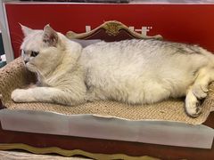 -小时光咖啡馆(开森度假森林店)