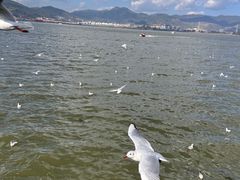 -海埂大坝