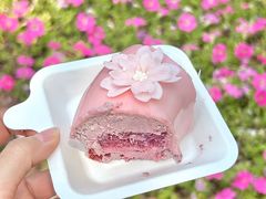 -壹点壹客·生日蛋糕(南山店)