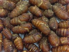 iphone_upload_pic-天津乾毓德饭庄·清真传统炒菜·海鲜烧烤(咸阳路店)