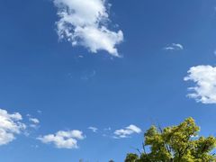 -西昌邛海湿地