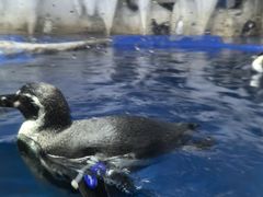 -太平洋海底世界