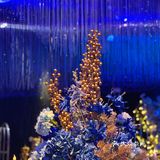 梦幻水晶球🔮内就餐是什么体验❓