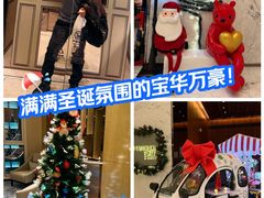 -上海宝华万豪酒店