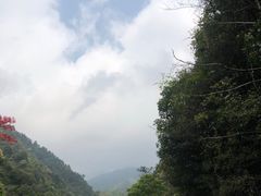-姑婆山旅游区