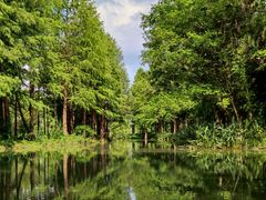 -西溪国家湿地公园