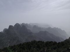 -王莽岭风景区