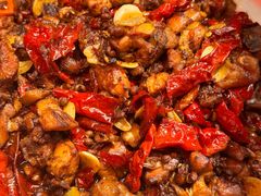 -柴窝堡22号辣子鸡·传承新疆菜