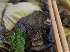 -蜀大侠火锅(总府路店)