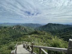-大岭沟猕猴桃谷风景区