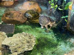 -勝記酒家·37年老字号·经典粤菜(荔枝公园店)