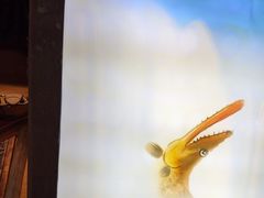 -徽三说·土徽菜·中国徽菜连锁品牌(一中店)