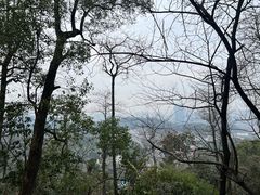 -岳麓山风景名胜区