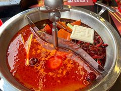 -蜀大侠火锅.川剧变脸(龙泉世茂店)