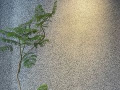 -橘利咖啡