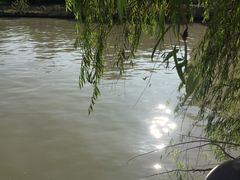 -苏州河梦清园环保主题公园