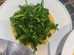 -陈记菜馆·非遗淮扬菜(东关街教场店)