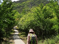 -北京鹫峰国家森林公园
