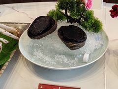 -南海渔村·空中一号