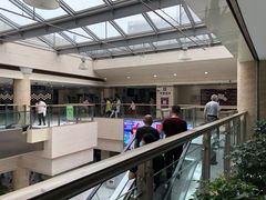 -上海中医药大学附属曙光医院(东部)