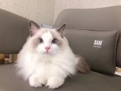 -3AM·S HAIR SALON烫发染发接发